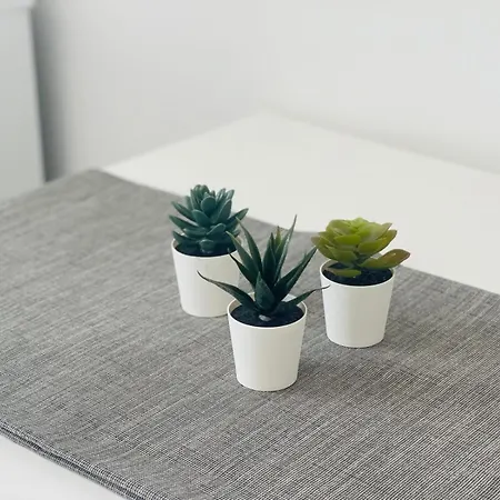 Chiado - Apartamento Lisboa